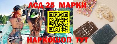 прущие грибы Пенза