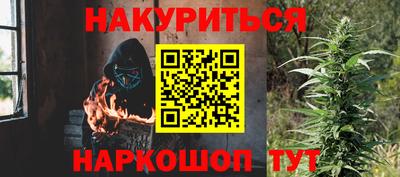прущие грибы Пенза