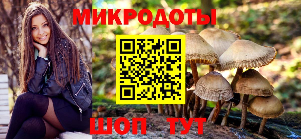 Галлюциногенные грибы Psilocybine cubensis Саранск