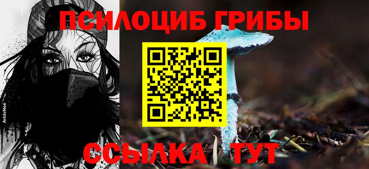 Псилоцибиновые грибы мухоморы  Вход с VPN  Саранск 